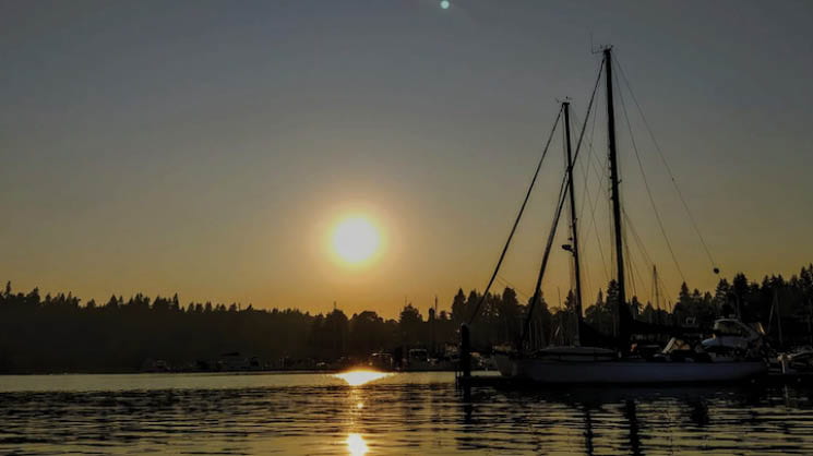 Boats in the harbor of PNW